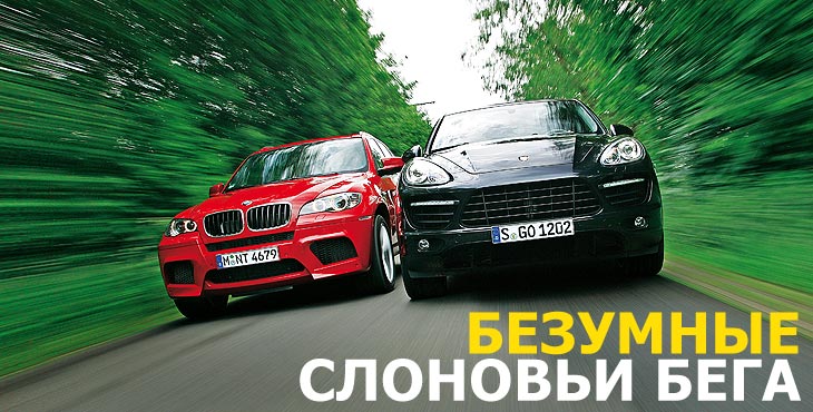 Безумные слоновьи бега. BMW X5 M против Porsche Cayenne Turbo