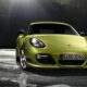 Porsche Cayman R - самый быстрый крокодил