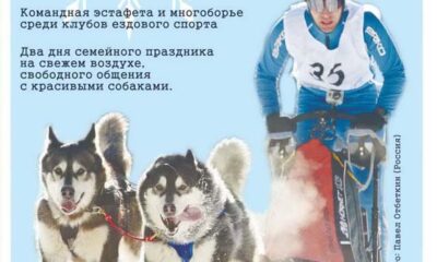 Зимние приключения c Land Rover