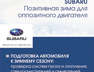Позитивная зима от Subaru