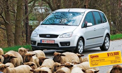 Спортивные наклонности. Покупка Ford C-Max