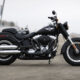 Harley-Davidson представляет новый модельный рял юбилейного 2013 года