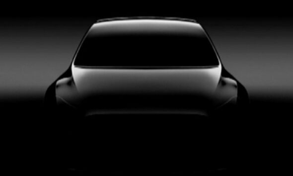 Model Y получит стандартные двери