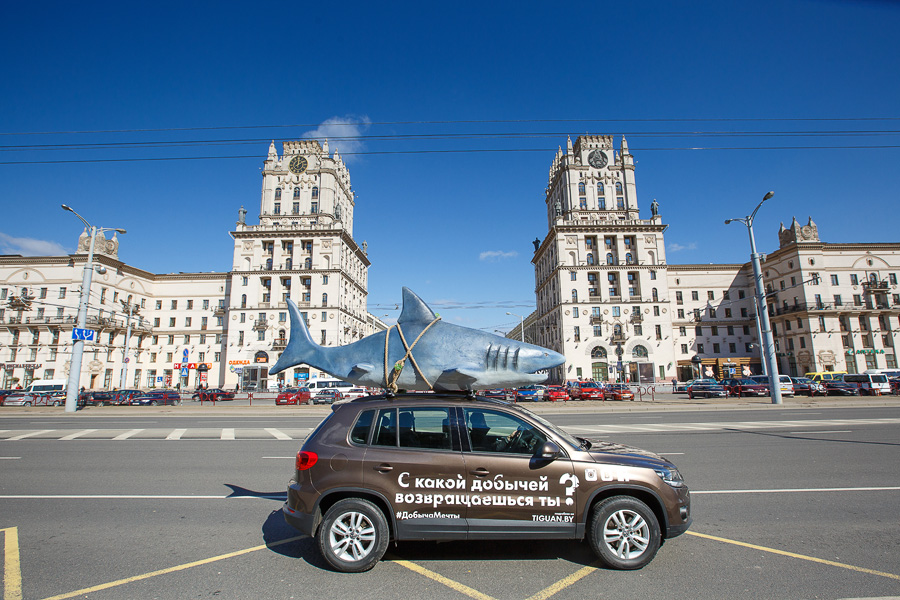 Кто поймал акулу: по Минску колесит необычный Tiguan